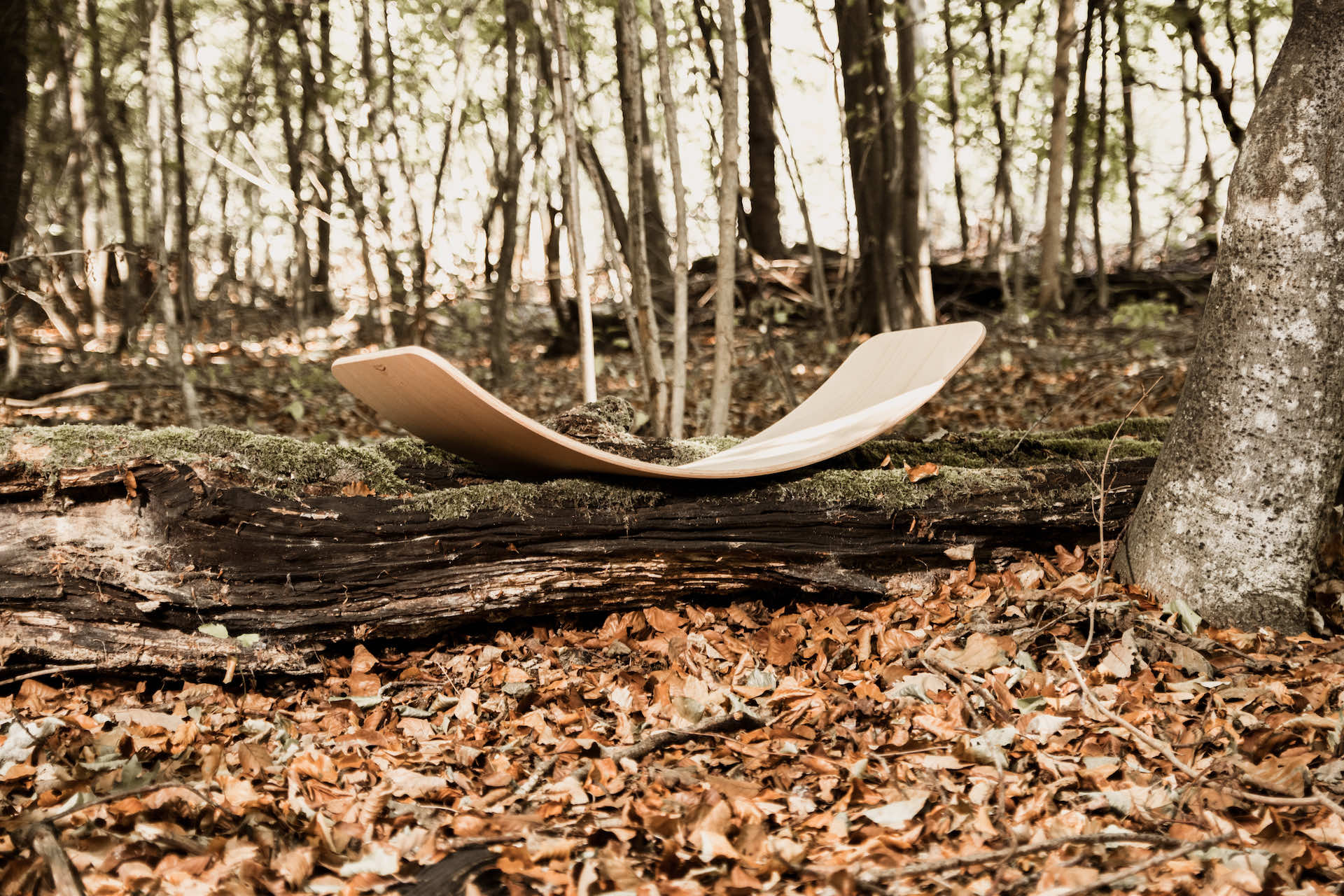nachhaltiges-balance-board-pefc-holz nachhaltiges-balance-board-pefc-holz