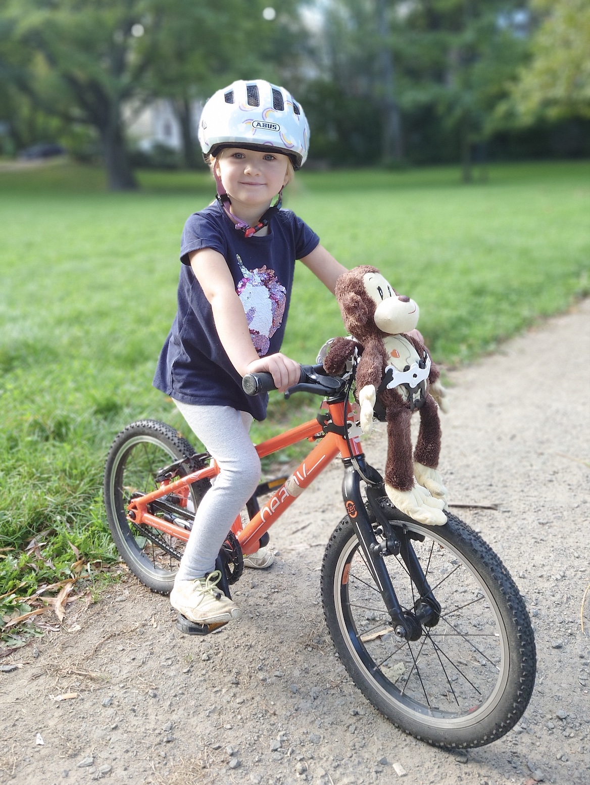 Bicycle basket for cuddly toy